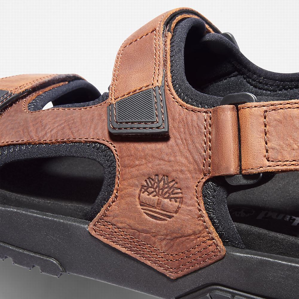 Timberland Anchor Watch Backstrap Sandalet Erkek Kahverengi | TR-9823M