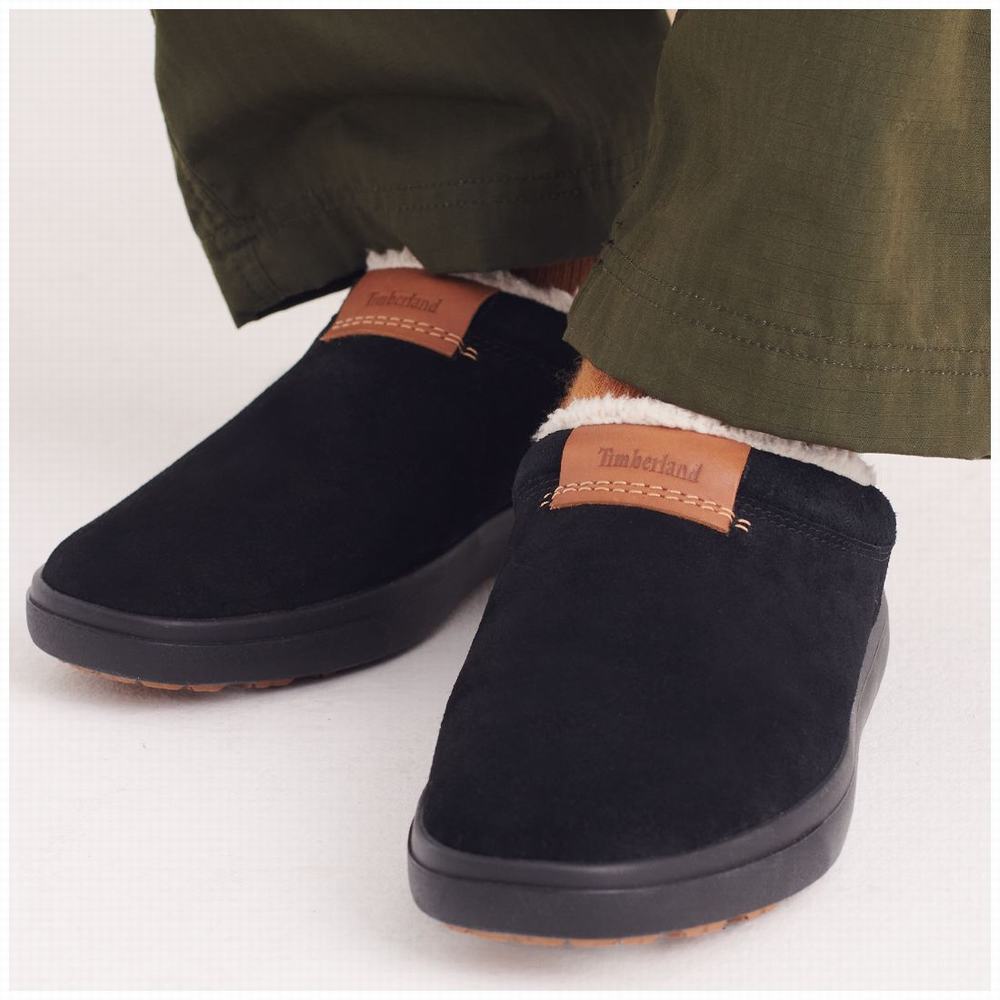 Timberland Ashwood Park Leather Terlik Erkek Siyah | TR-2051E