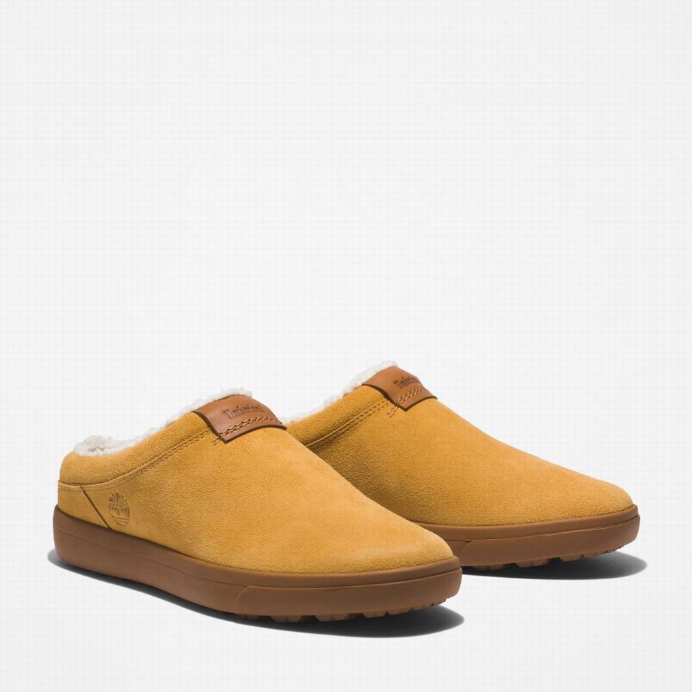 Timberland Ashwood Park Leather Terlik Erkek Kahverengi | TR-6158W
