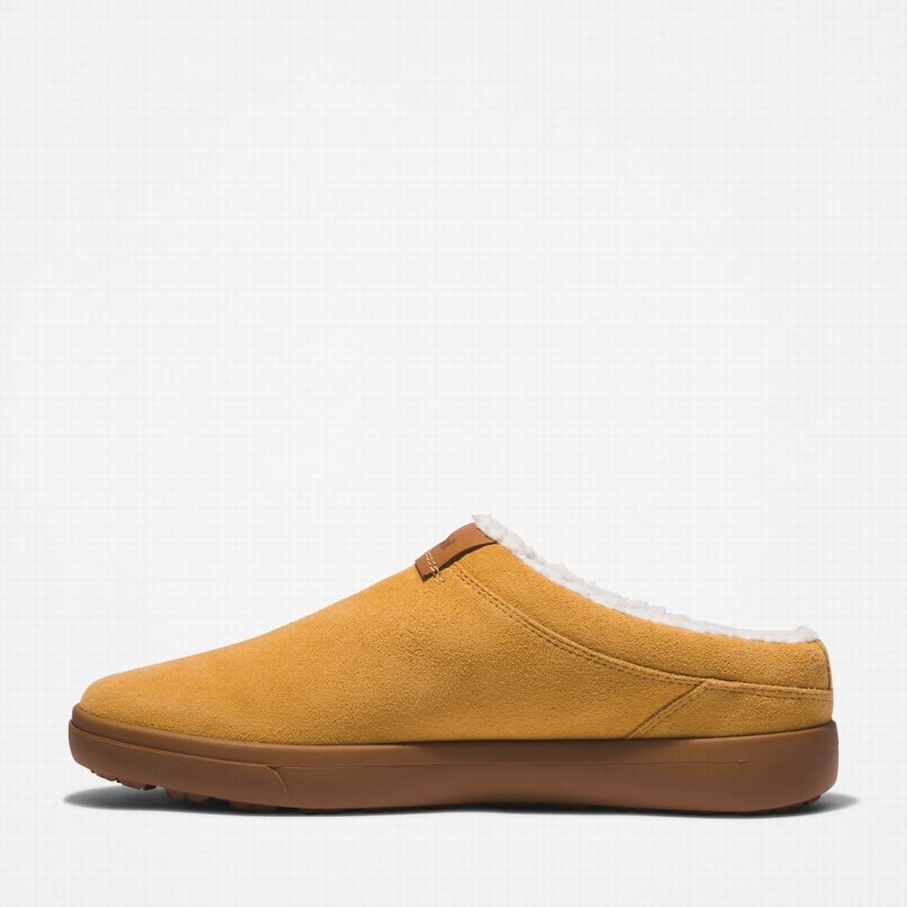 Timberland Ashwood Park Leather Terlik Erkek Kahverengi | TR-6158W