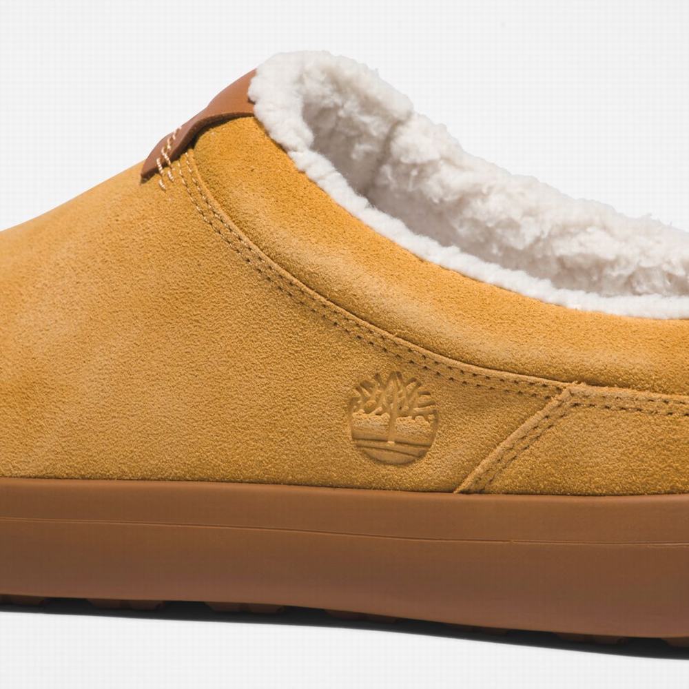 Timberland Ashwood Park Leather Terlik Erkek Kahverengi | TR-6158W