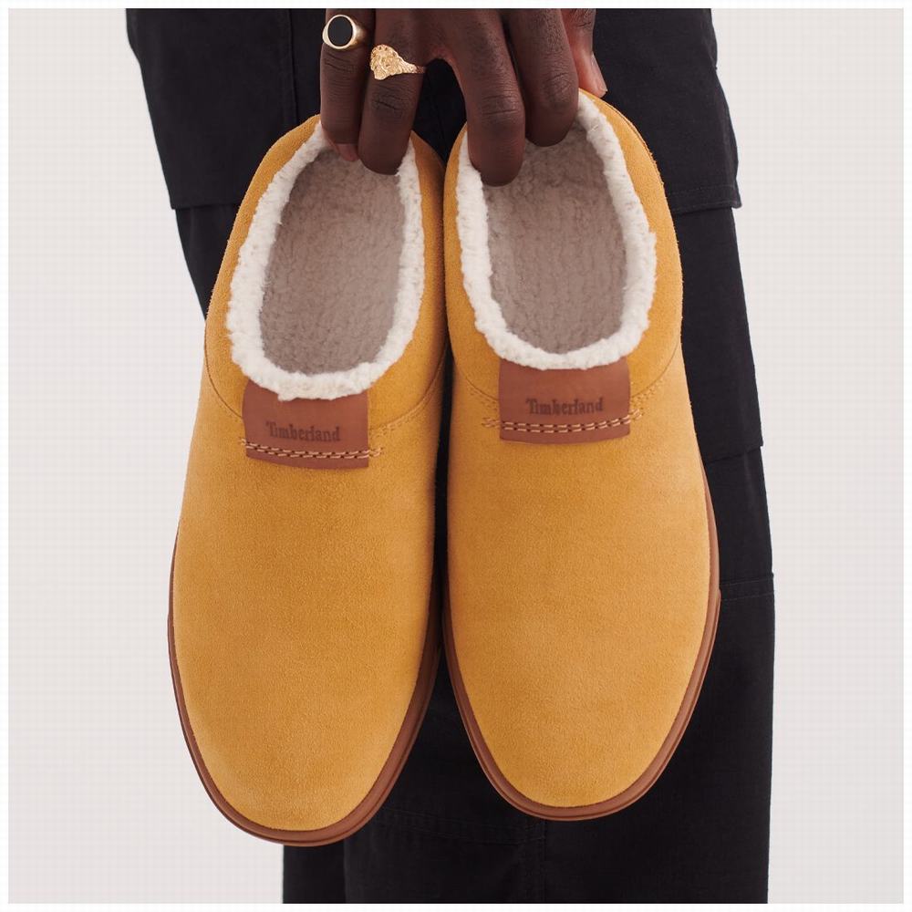 Timberland Ashwood Park Leather Terlik Erkek Kahverengi | TR-6158W