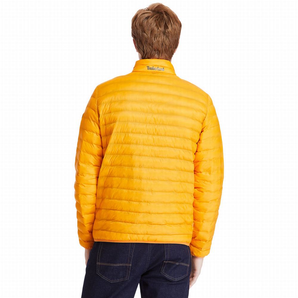Timberland Axis Peak Packable Ceket Erkek Sarı | TR-3704N