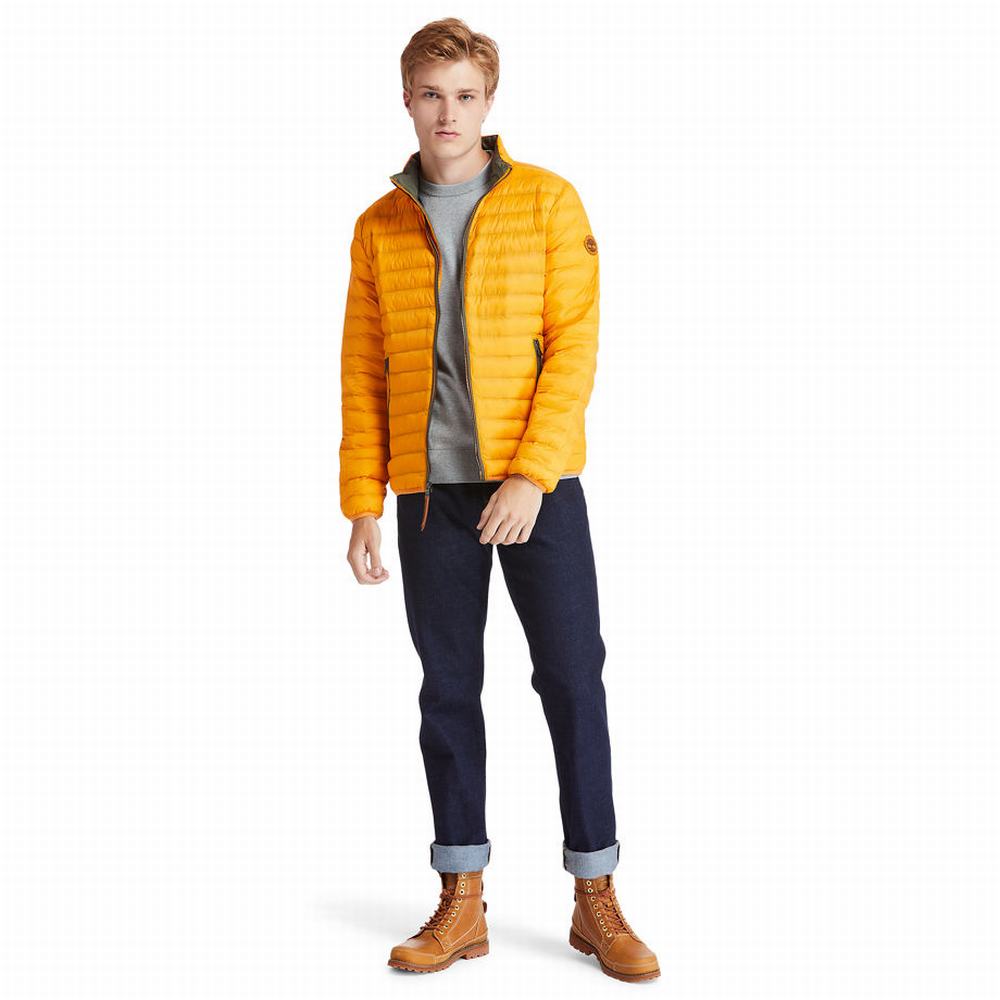 Timberland Axis Peak Packable Ceket Erkek Sarı | TR-3704N