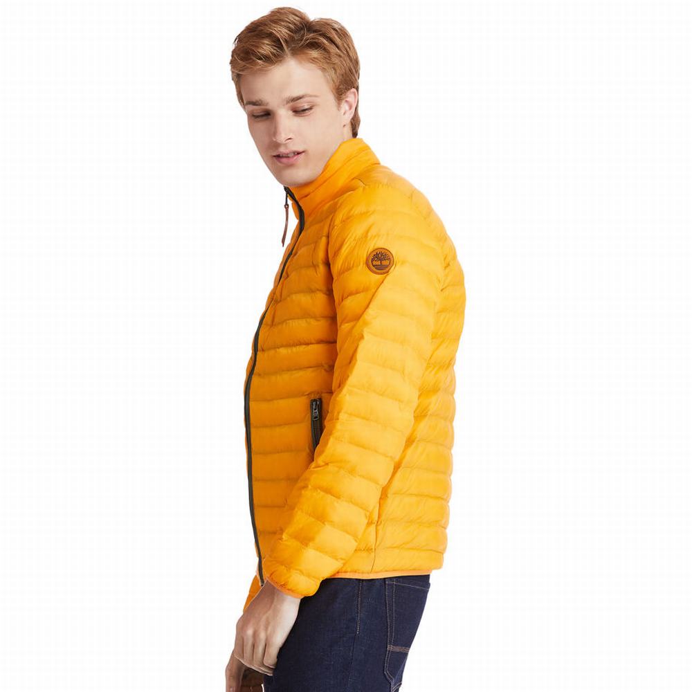 Timberland Axis Peak Packable Ceket Erkek Sarı | TR-3704N