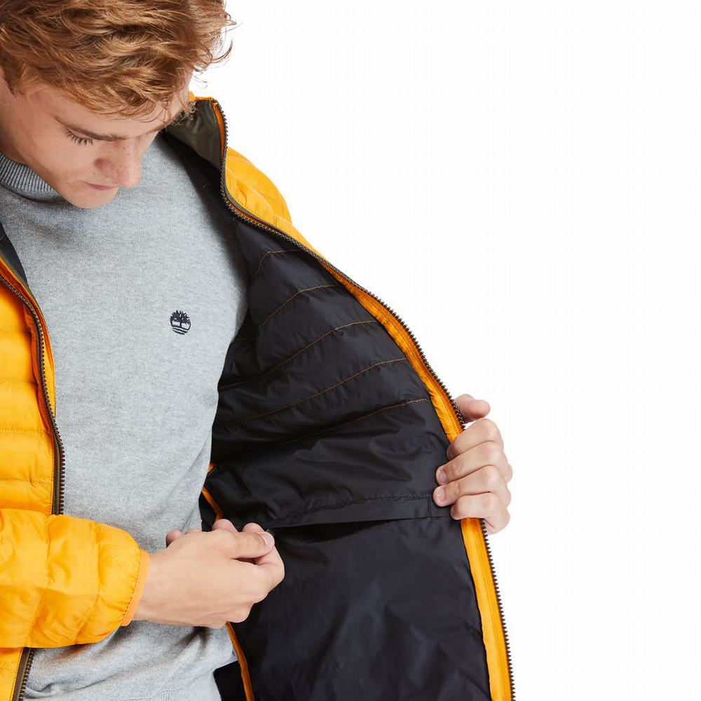 Timberland Axis Peak Packable Ceket Erkek Sarı | TR-3704N