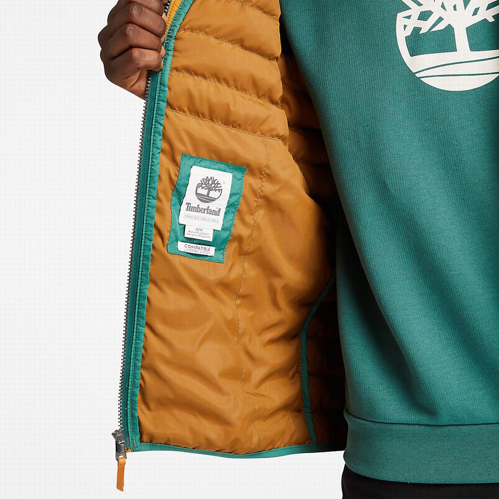 Timberland Axis Peak Waterproof Ceket Erkek Yeşil | TR-8570V