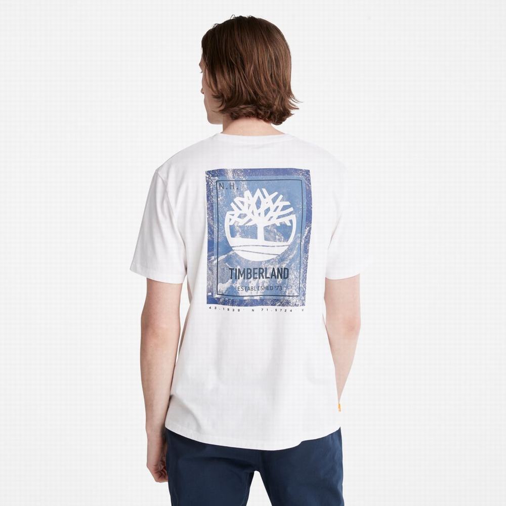 Timberland Back-Graphic Tişört Erkek Beyaz | TR-5372A