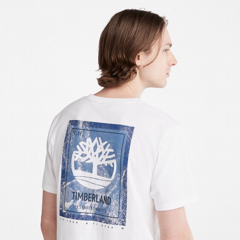 Timberland Back-Graphic Tişört Erkek Beyaz | TR-5372A