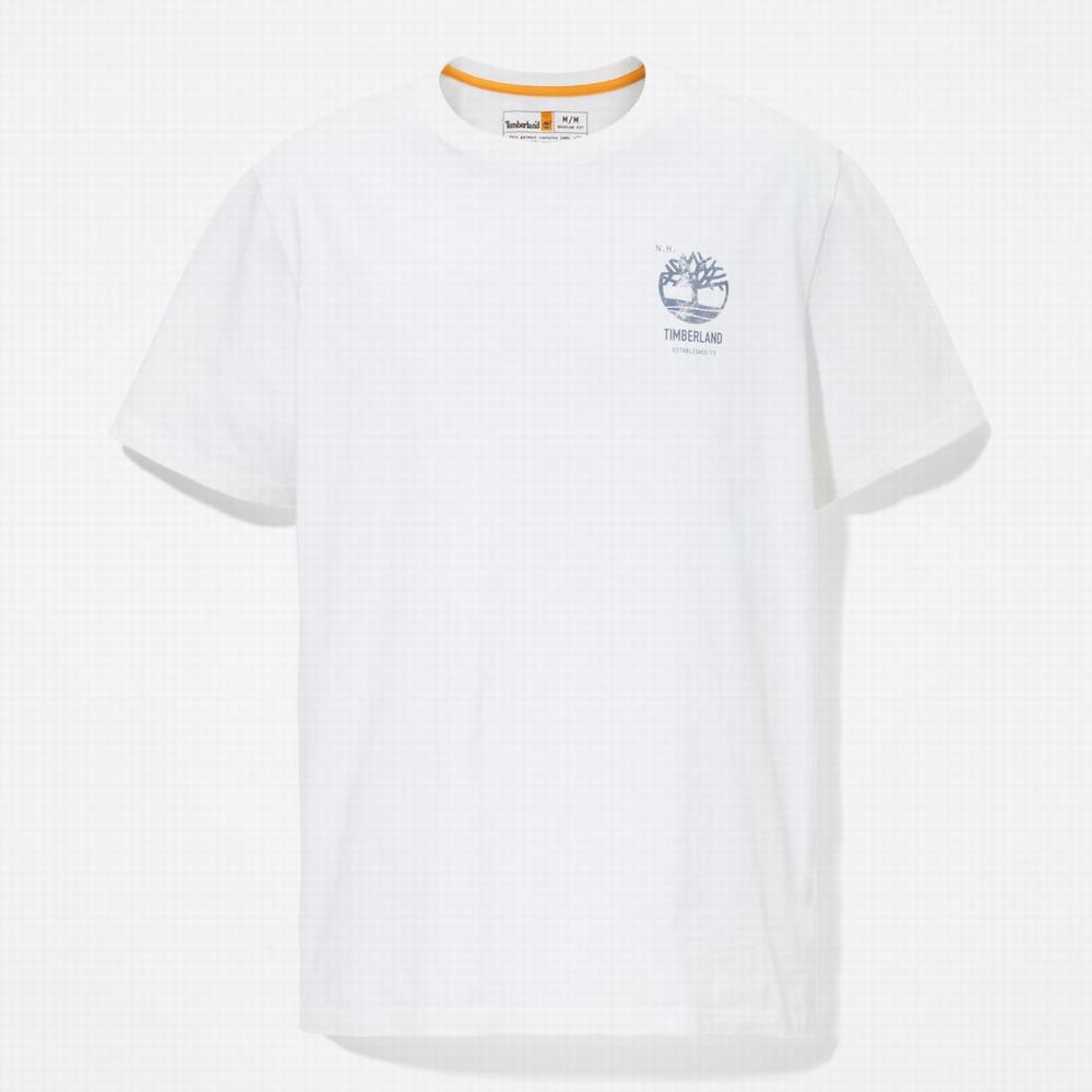 Timberland Back-Graphic Tişört Erkek Beyaz | TR-5372A