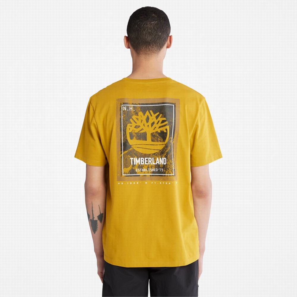 Timberland Back-Graphic Tişört Erkek Hardal Sarısı | TR-0129Y