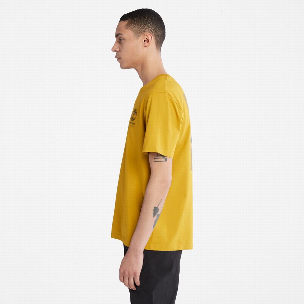 Timberland Back-Graphic Tişört Erkek Hardal Sarısı | TR-0129Y