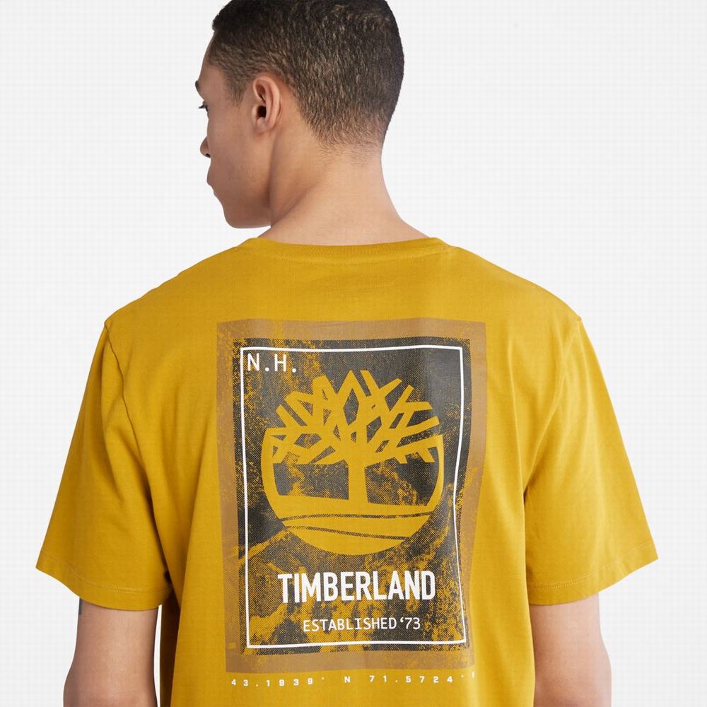 Timberland Back-Graphic Tişört Erkek Hardal Sarısı | TR-0129Y