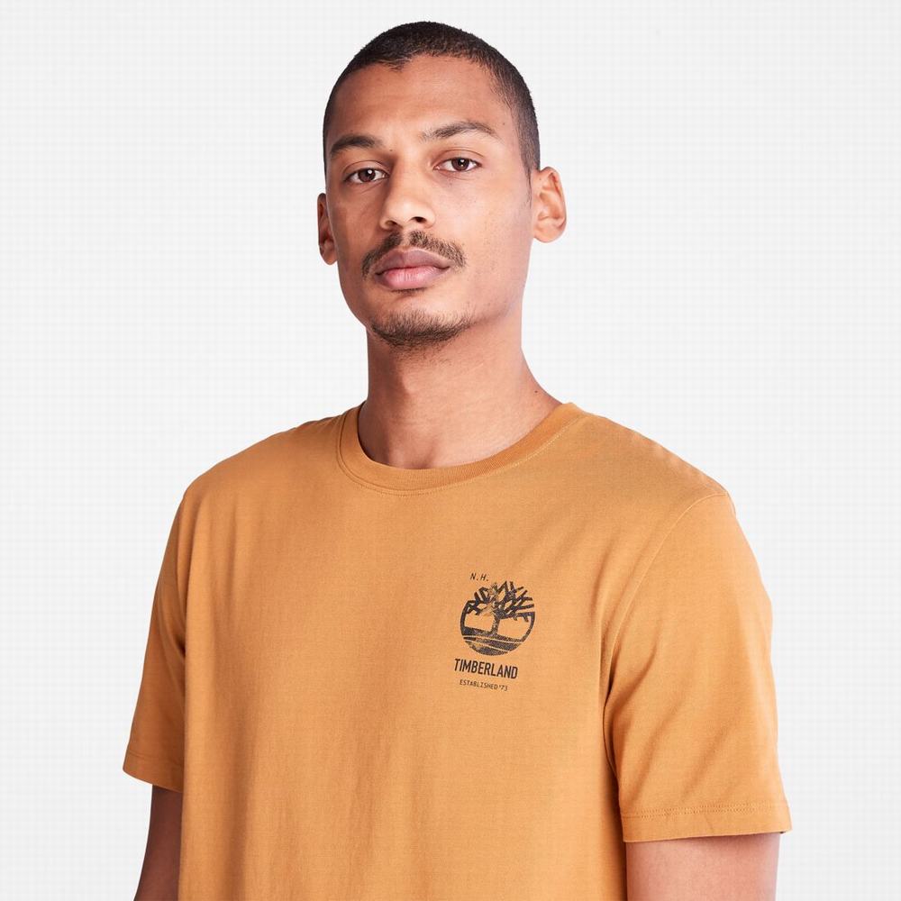 Timberland Back-Graphic Tişört Erkek Kahverengi | TR-8943P