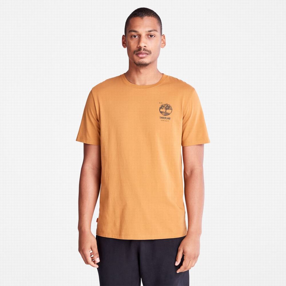 Timberland Back-Graphic Tişört Erkek Kahverengi | TR-8943P