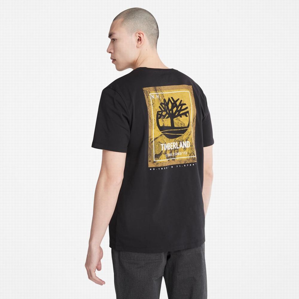 Timberland Back-Graphic Tişört Erkek Siyah | TR-1938U