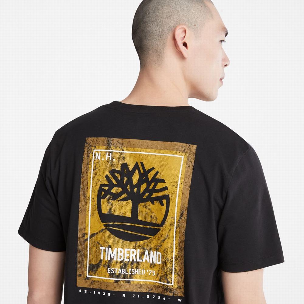Timberland Back-Graphic Tişört Erkek Siyah | TR-1938U