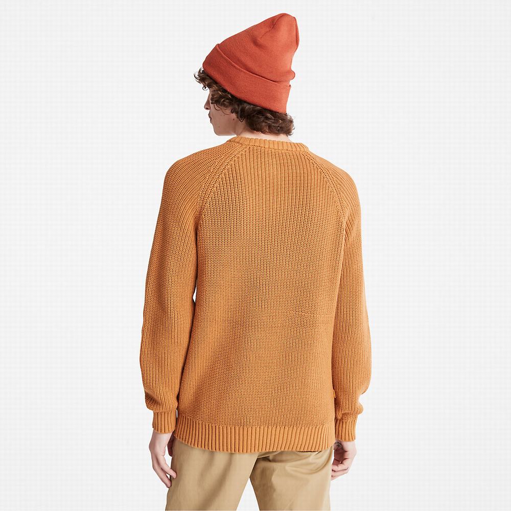 Timberland Beards Brook Raglan Süveter Erkek Açık Kahverengi | TR-8637A