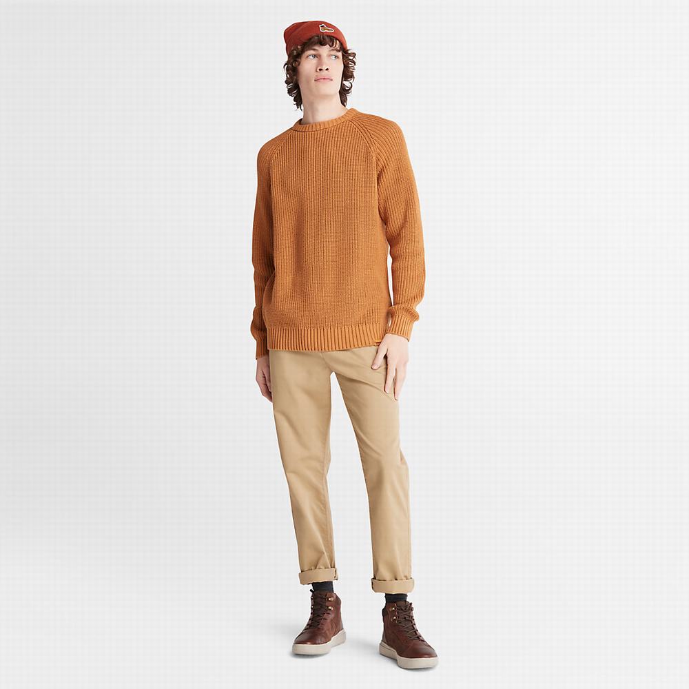 Timberland Beards Brook Raglan Süveter Erkek Açık Kahverengi | TR-8637A