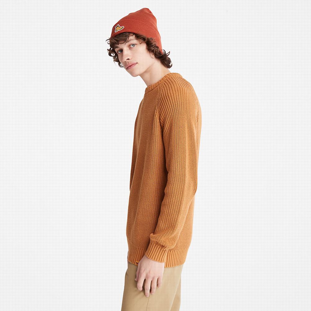 Timberland Beards Brook Raglan Süveter Erkek Açık Kahverengi | TR-8637A