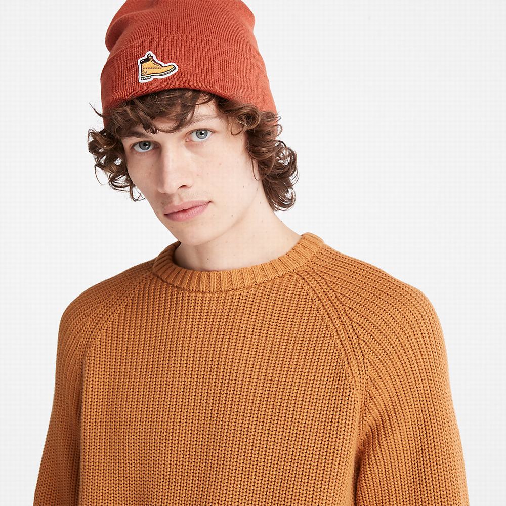 Timberland Beards Brook Raglan Süveter Erkek Açık Kahverengi | TR-8637A