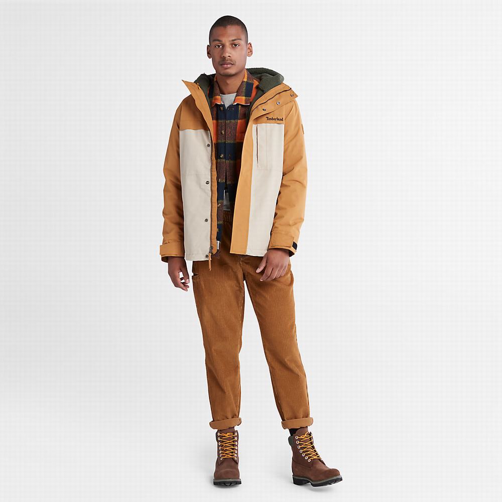 Timberland Benton 3-in-1 Ceket Erkek Açık Kahverengi | TR-0284J