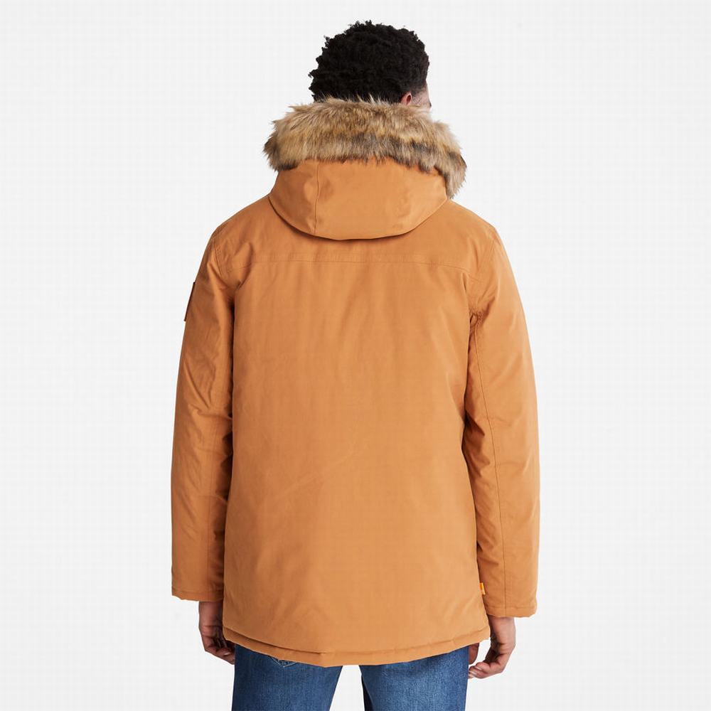 Timberland Boundary Peak Warm Parka Ceketler Erkek Sarı | TR-9320T