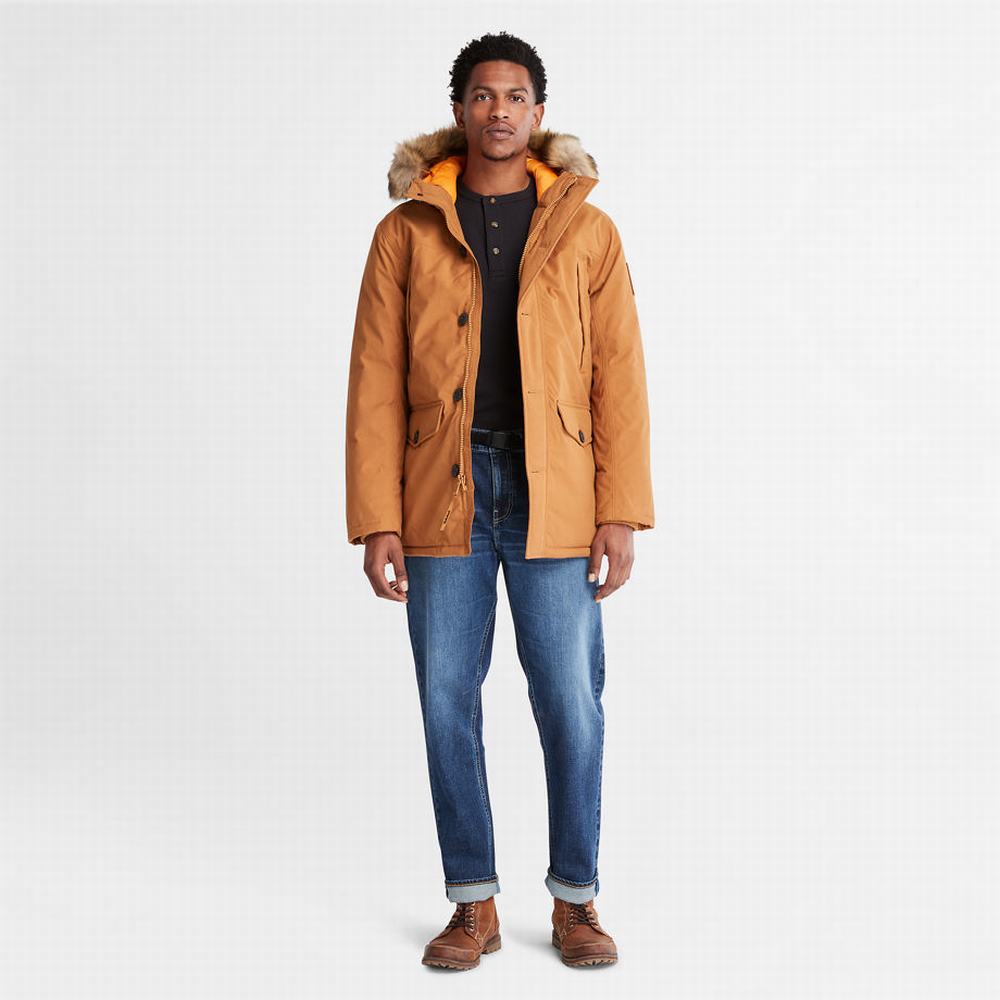 Timberland Boundary Peak Warm Parka Ceketler Erkek Sarı | TR-9320T