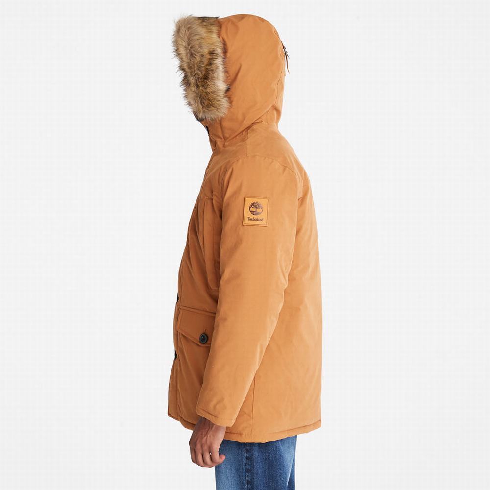 Timberland Boundary Peak Warm Parka Ceketler Erkek Sarı | TR-9320T