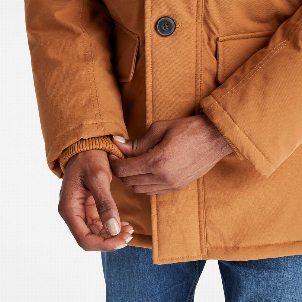 Timberland Boundary Peak Warm Parka Ceketler Erkek Sarı | TR-9320T