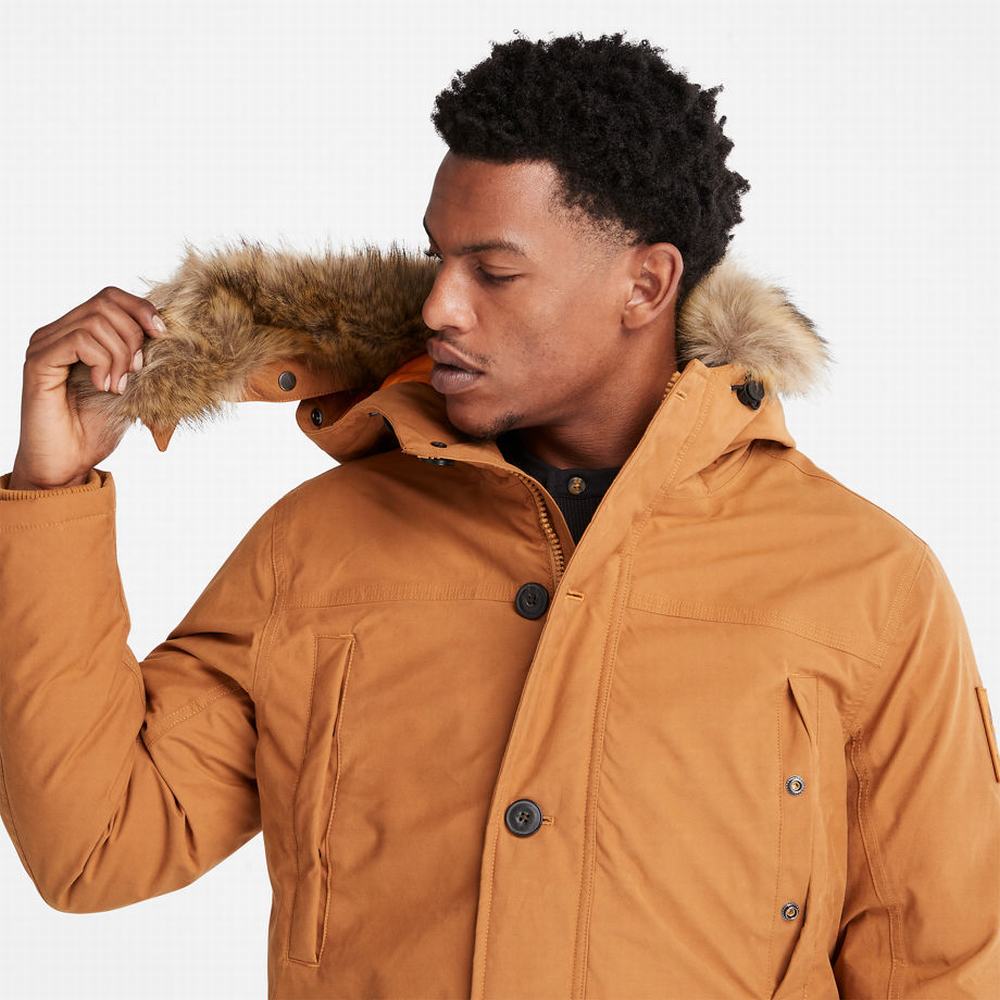 Timberland Boundary Peak Warm Parka Ceketler Erkek Sarı | TR-9320T