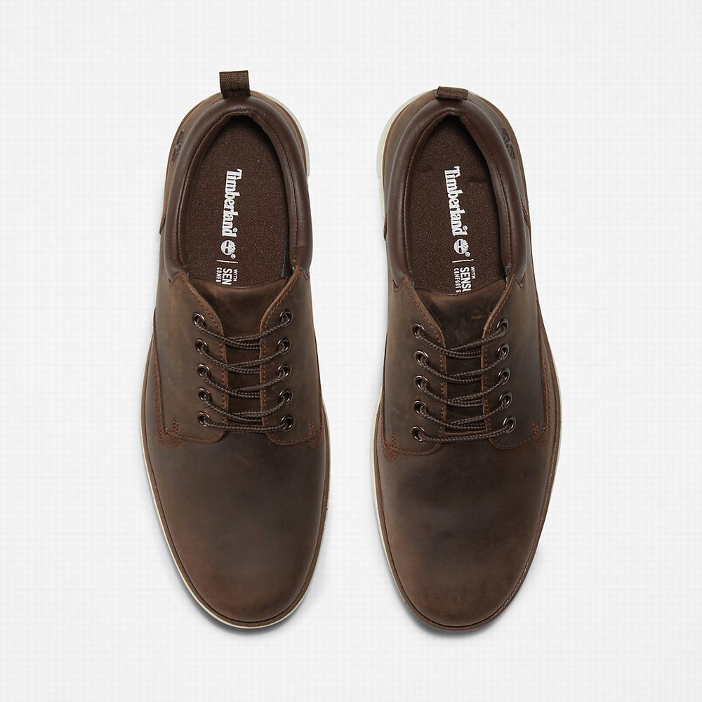Timberland Bradstreet Leather Oxford Spor Ayakkabı Erkek Kahverengi | TR-2768G