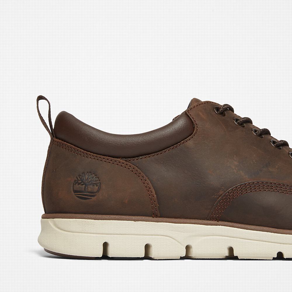Timberland Bradstreet Leather Oxford Spor Ayakkabı Erkek Kahverengi | TR-2768G