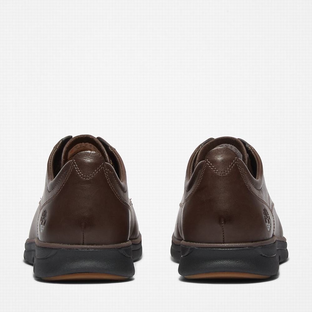Timberland Bradstreet Plain Burunlu Oxford Ayakkabı Erkek Kahverengi | TR-1963J