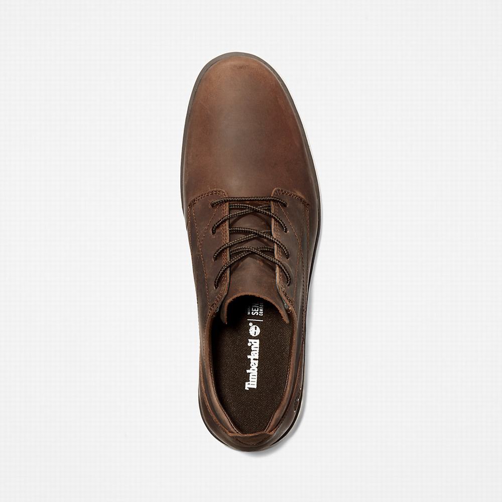 Timberland Bradstreet Spor Ayakkabı Erkek Koyu Kahverengi | TR-5761M