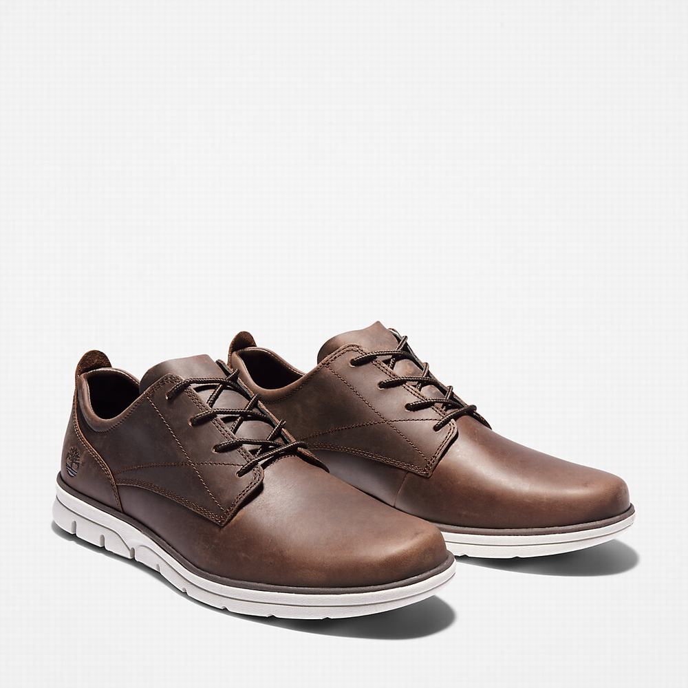 Timberland Bradstreet Spor Ayakkabı Erkek Koyu Kahverengi | TR-5761M