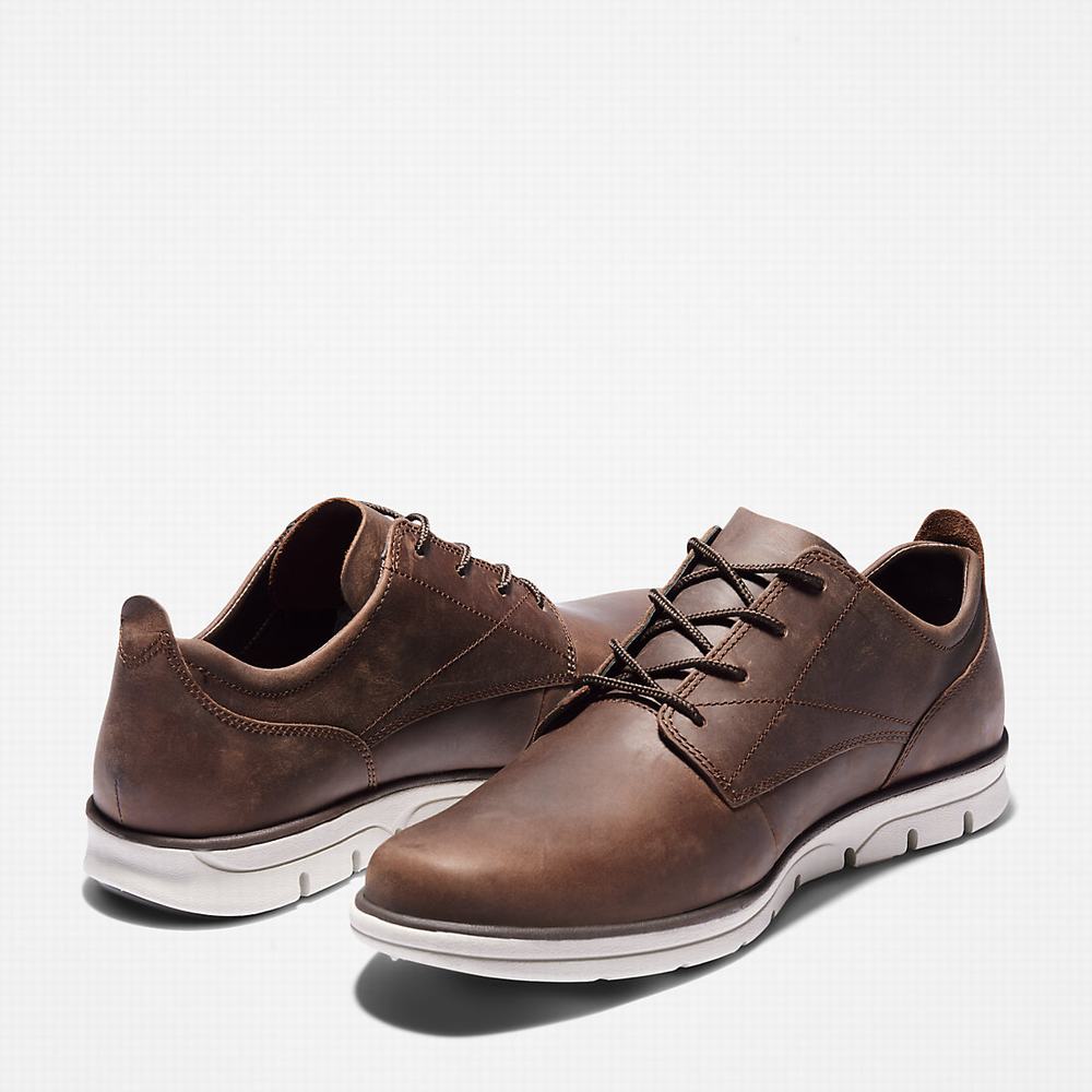 Timberland Bradstreet Spor Ayakkabı Erkek Koyu Kahverengi | TR-5761M