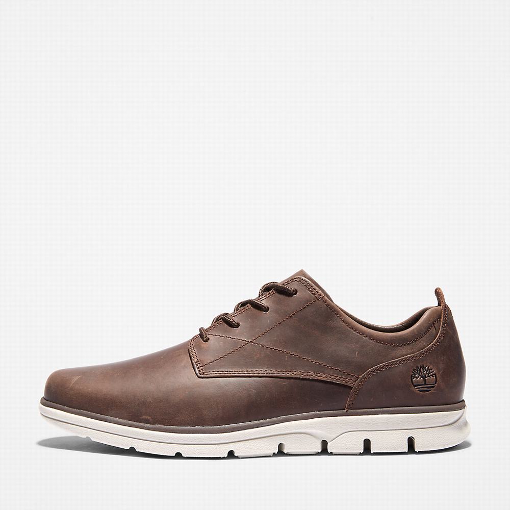 Timberland Bradstreet Spor Ayakkabı Erkek Koyu Kahverengi | TR-5761M