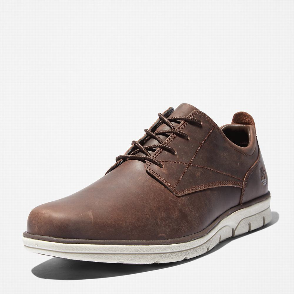 Timberland Bradstreet Spor Ayakkabı Erkek Koyu Kahverengi | TR-5761M