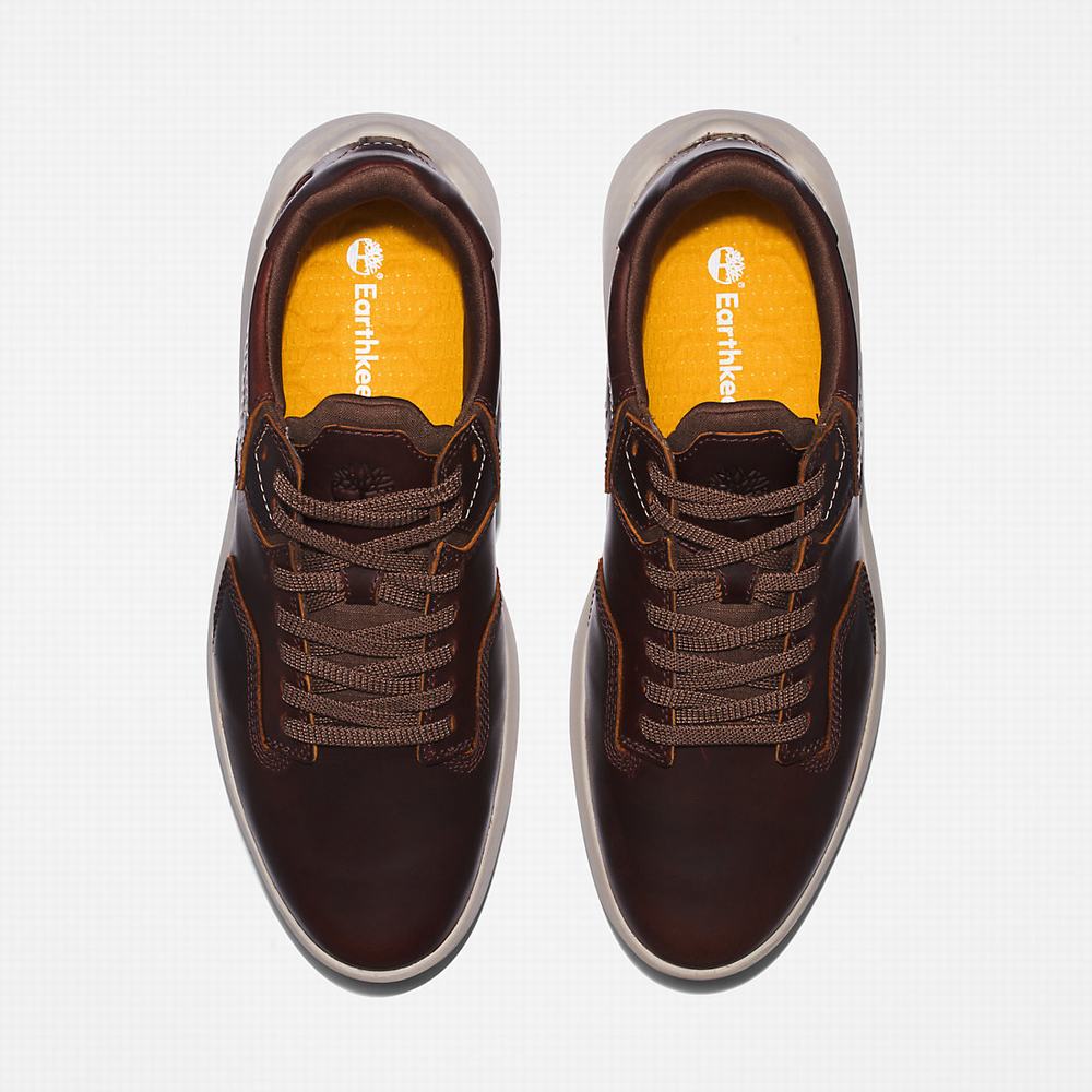 Timberland Bradstreet Ultra EK+ Spor Ayakkabı Erkek Koyu Kahverengi | TR-1074D