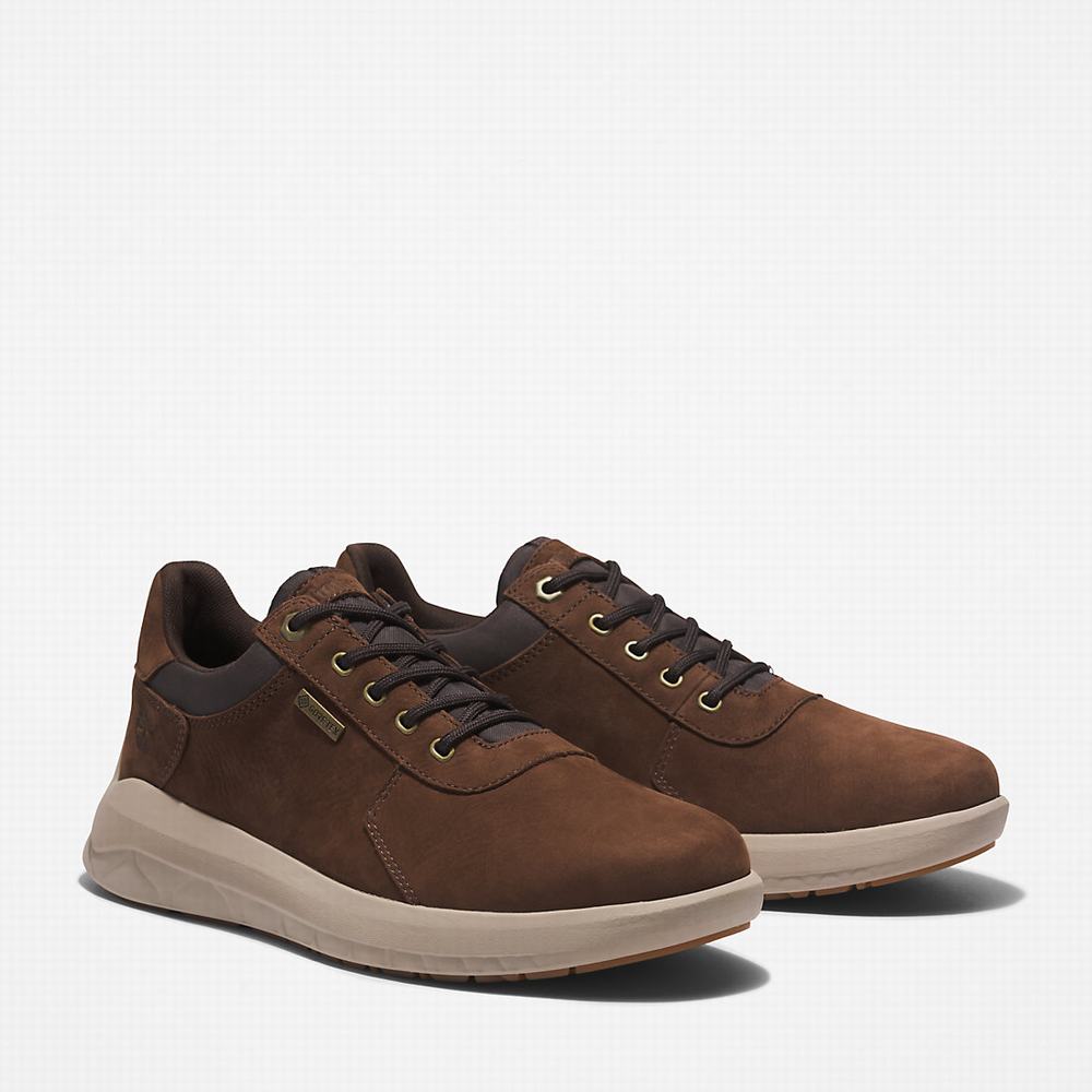 Timberland Bradstreet Ultra Gore-Tex® Spor Ayakkabı Erkek Koyu Kahverengi | TR-1508W
