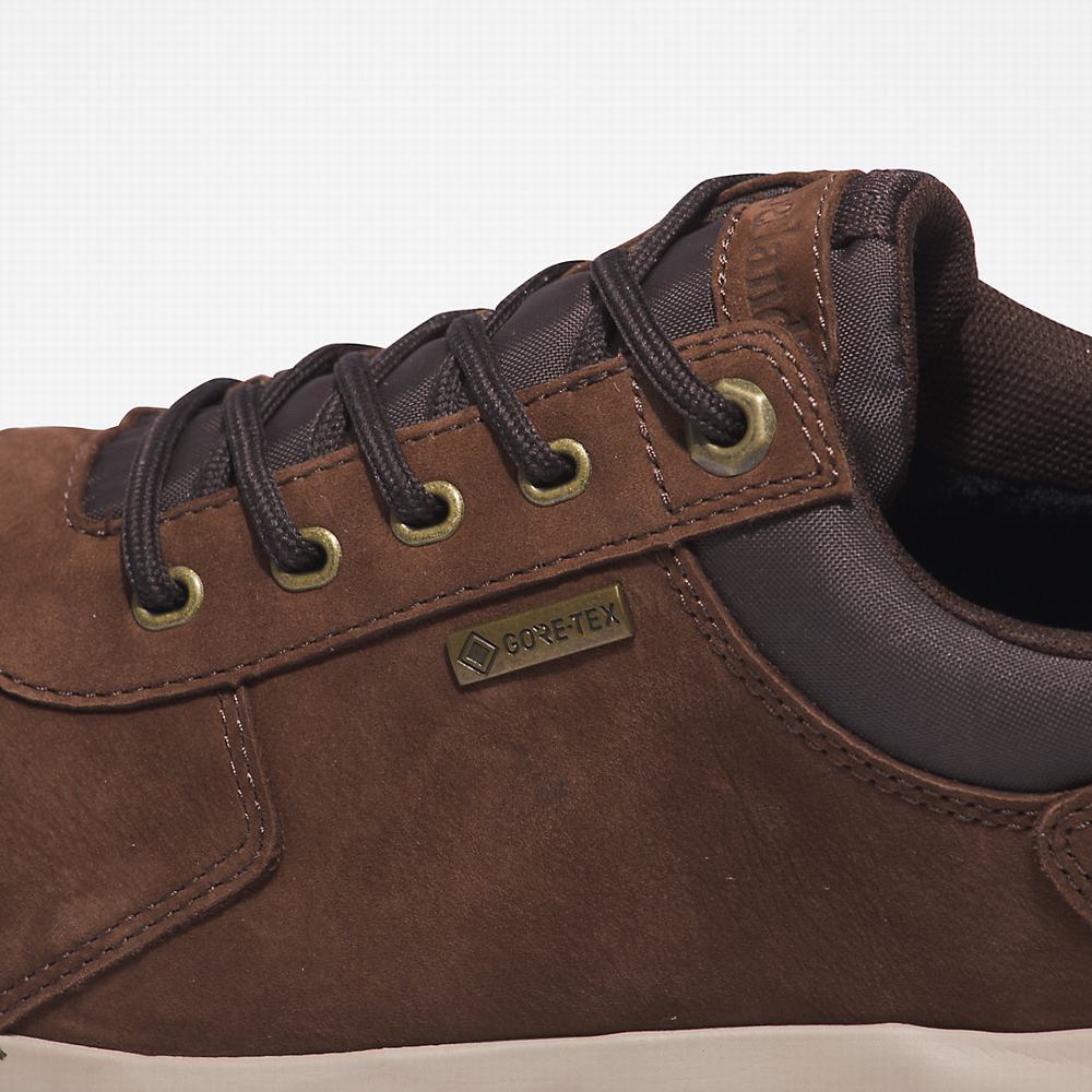 Timberland Bradstreet Ultra Gore-Tex® Spor Ayakkabı Erkek Koyu Kahverengi | TR-1508W