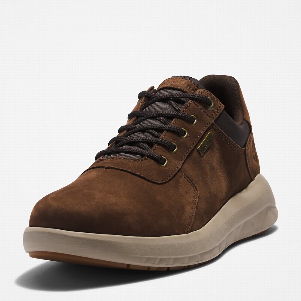 Timberland Bradstreet Ultra Gore-Tex® Spor Ayakkabı Erkek Koyu Kahverengi | TR-1508W