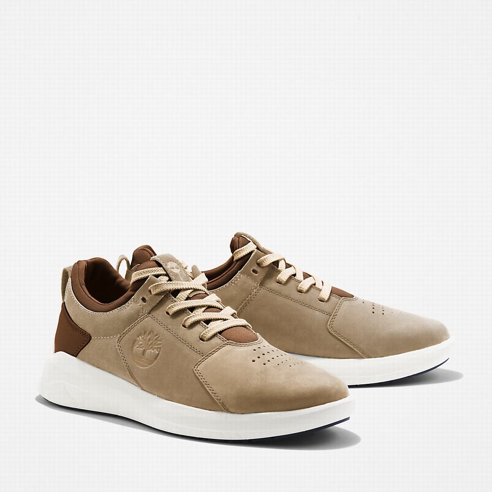 Timberland Bradstreet Ultra Spor Ayakkabı Erkek Bej Rengi | TR-2956X
