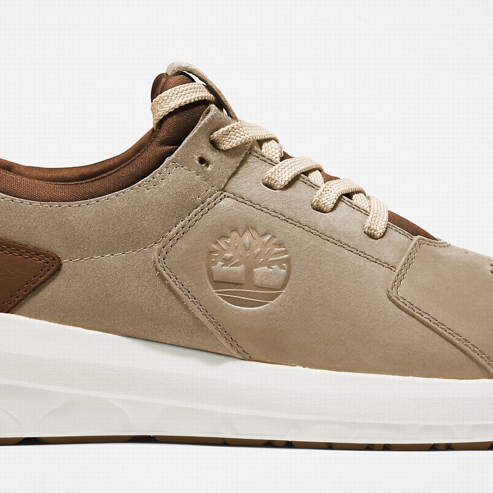 Timberland Bradstreet Ultra Spor Ayakkabı Erkek Bej Rengi | TR-2956X