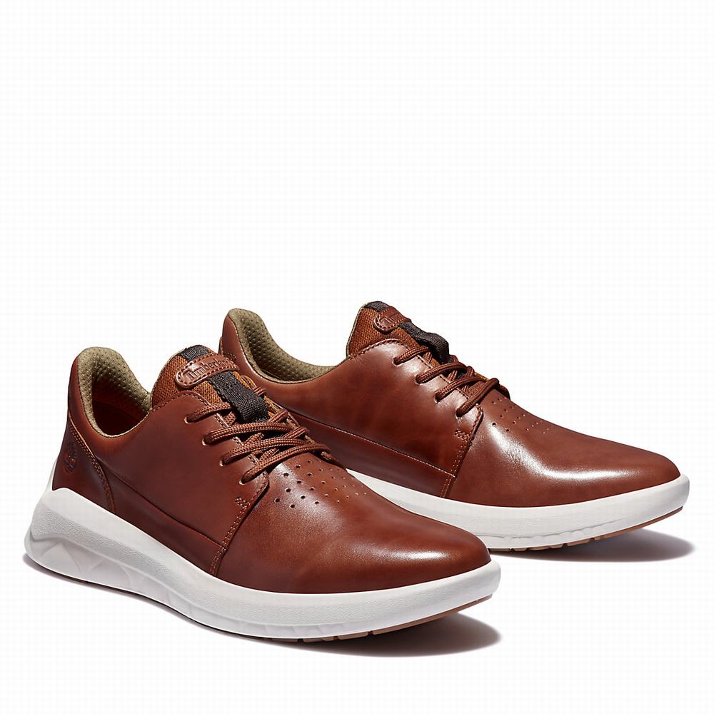 Timberland Bradstreet Ultra Spor Ayakkabı Erkek Kahverengi | TR-5978C