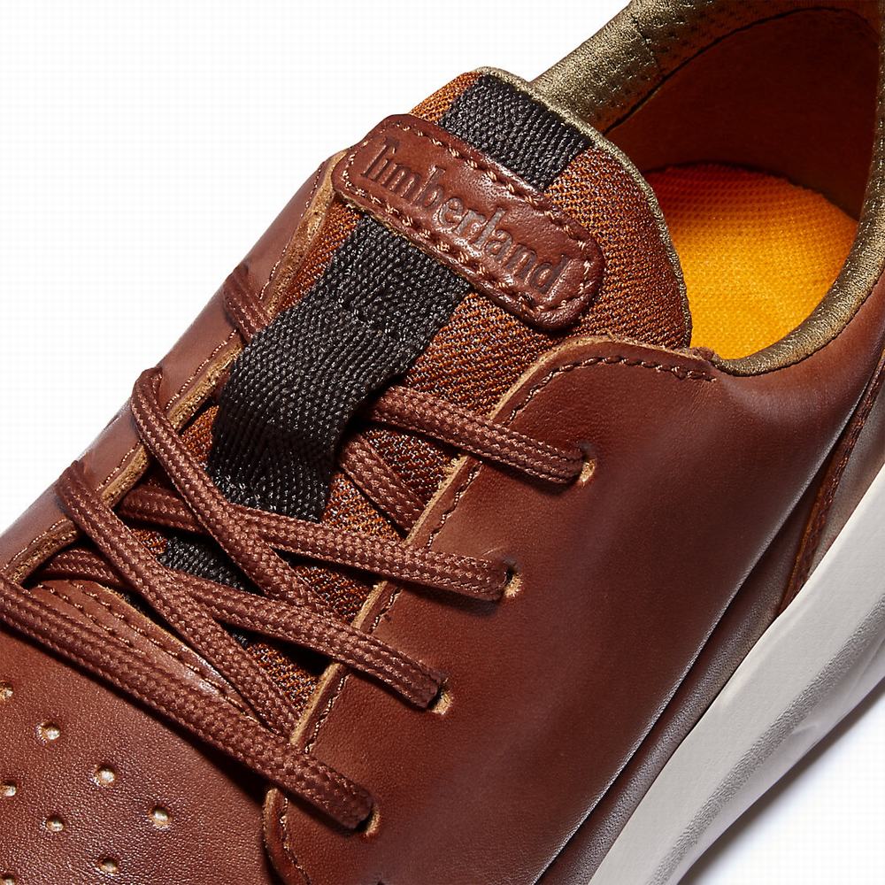 Timberland Bradstreet Ultra Spor Ayakkabı Erkek Kahverengi | TR-5978C
