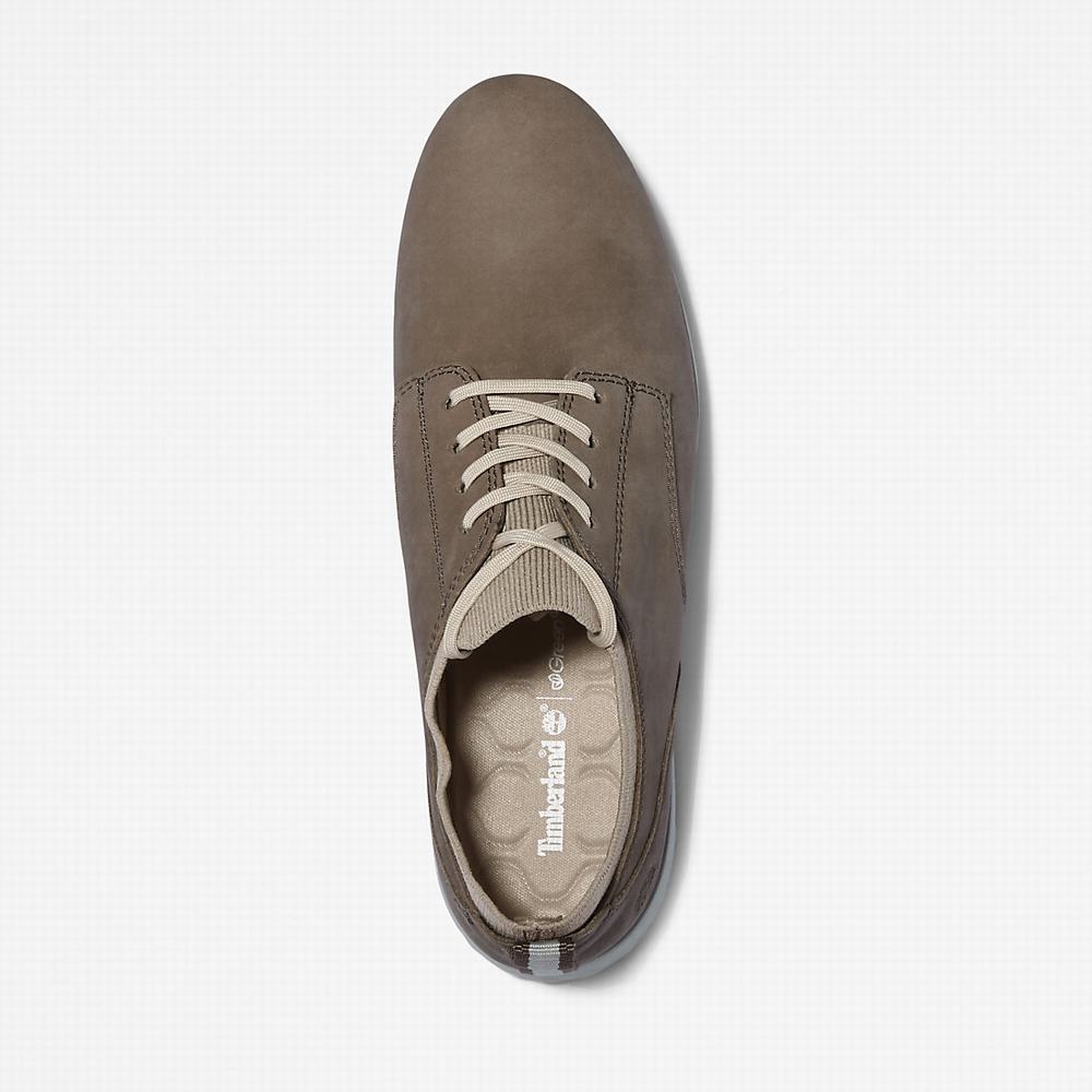 Timberland Bradstreet Ultra Spor Ayakkabı Kadın Greige | TR-7021T