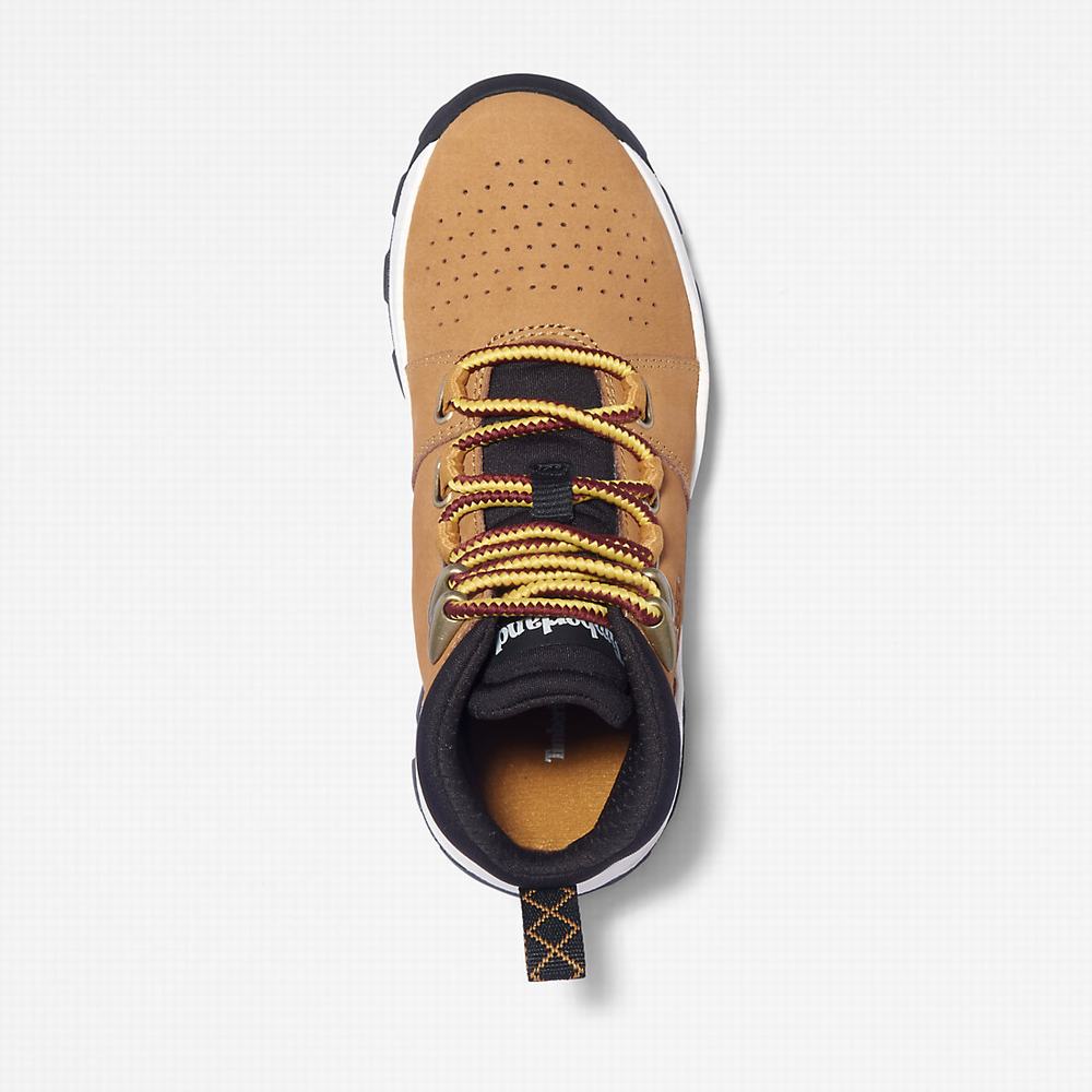 Timberland Brooklyn Lace-Up Spor Ayakkabı Çocuk Açık Kahverengi | TR-6142G