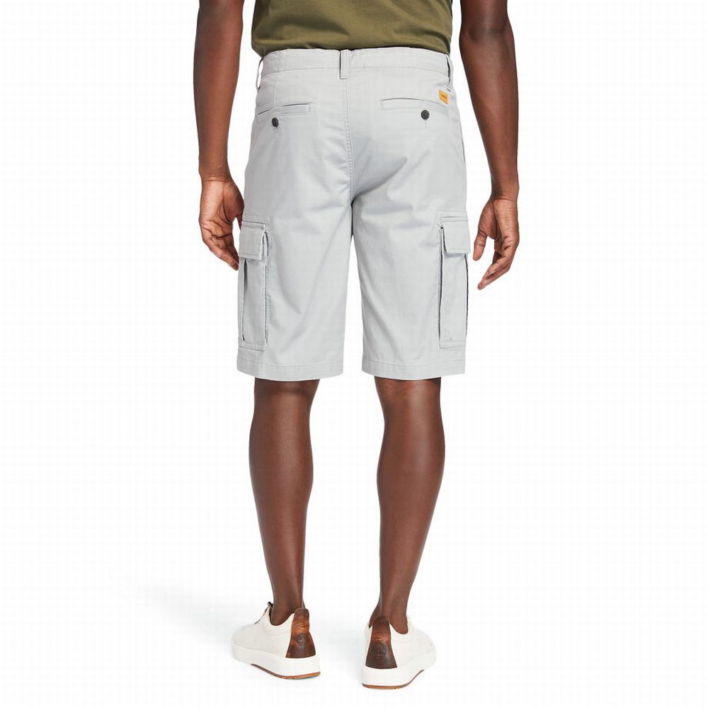Timberland Cargo Şort Erkek Gri | TR-7538G